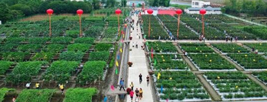 2020西部農(nóng)資博覽會(huì)照常舉辦!觀(guān)眾募集工作全面啟動(dòng)! 2020西部農(nóng)資博覽會(huì)照常舉辦!觀(guān)眾募集工作全面啟動(dòng)!