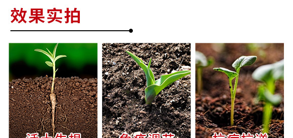 M(jn)ڹDطNϺ-ɪ