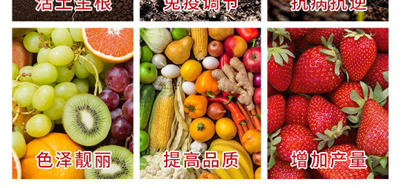 M(jn)ڹDطNϺ-ɪ