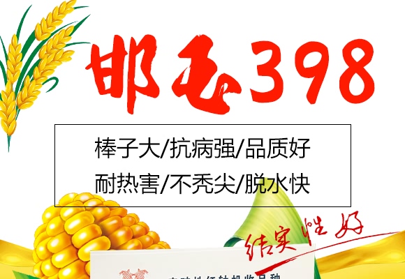 398-׷N-ԥrI(y)