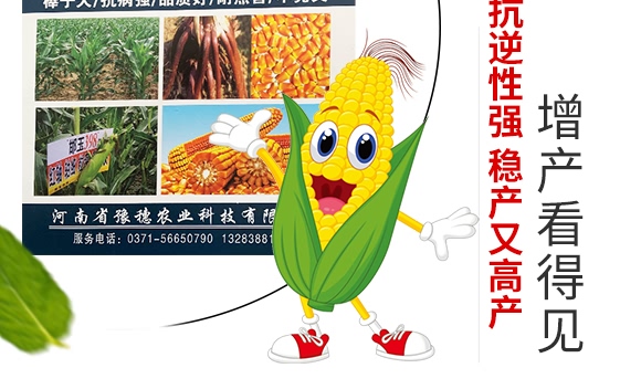 398-׷N-ԥrI(y)