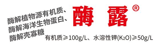 ЙC(j)ˮܷ-ø¶-r(nng)