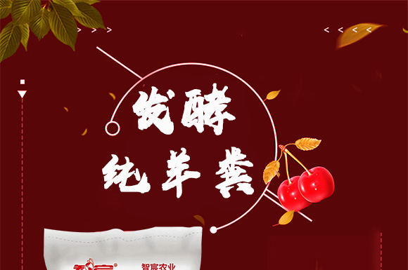 鍙戦叺綰緤綺?鏅哄_01.jpg 鍙戦叺綰緤綺?鏅哄_01.jpg