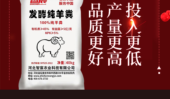 鍙戦叺綰緤綺?鏅哄_02.jpg 鍙戦叺綰緤綺?鏅哄_02.jpg