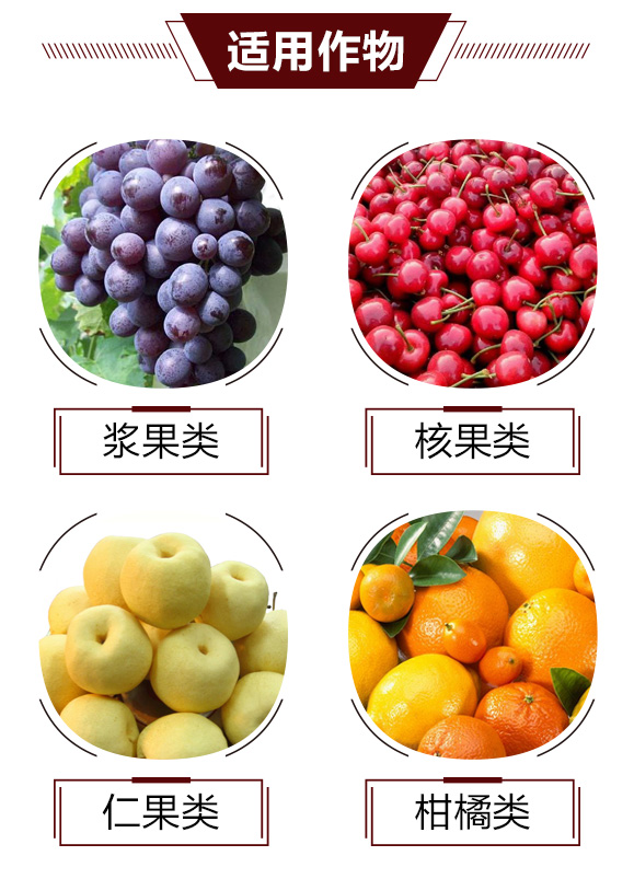 鍙戦叺綰緤綺?鏅哄_05.jpg 鍙戦叺綰緤綺?鏅哄_05.jpg