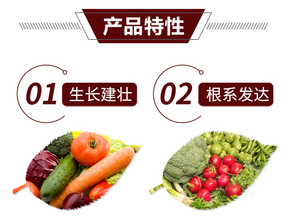 鍙戦叺綰緤綺?鏅哄_07.jpg 鍙戦叺綰緤綺?鏅哄_07.jpg