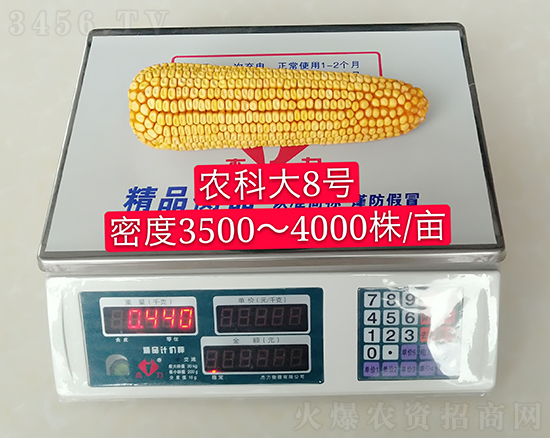 紅軸農(nóng)科大8號玉米種子-敦煌飛天-中亞農(nóng)業(yè) 紅軸農(nóng)科大8號玉米種子-敦煌飛天-中亞農(nóng)業(yè)