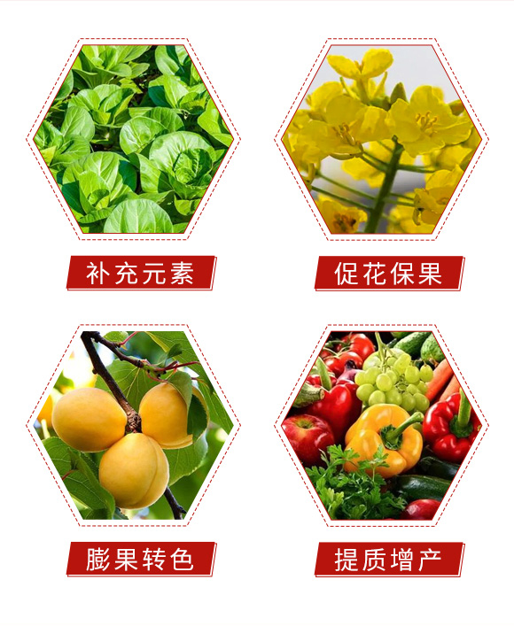 閰惰В鍔ㄧ墿婧愬皬鑲?鏂藉皬鑲05.jpg 閰惰В鍔ㄧ墿婧愬皬鑲?鏂藉皬鑲05.jpg