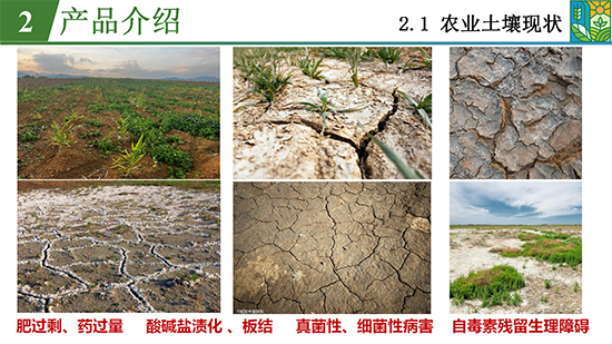 鑿屽惥緇嗙爺鍐滀笟綃嘷09.jpg 鑿屽惥緇嗙爺鍐滀笟綃嘷09.jpg