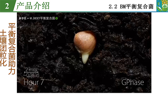 鑿屽惥緇嗙爺鍐滀笟綃嘷11.jpg 鑿屽惥緇嗙爺鍐滀笟綃嘷11.jpg