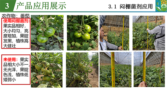 鑿屽惥緇嗙爺鍐滀笟綃嘷21.jpg 鑿屽惥緇嗙爺鍐滀笟綃嘷21.jpg