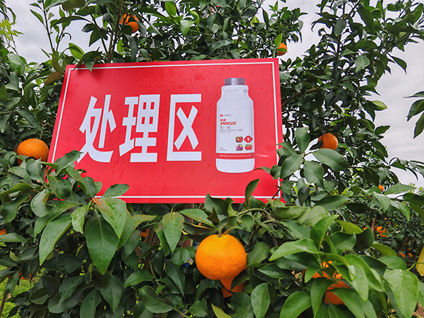 寰俊鍥劇墖_20250315090247.jpg 寰俊鍥劇墖_20250315090247.jpg