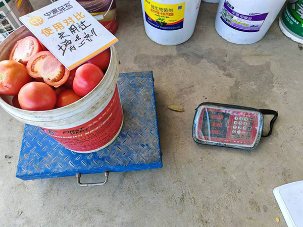 寰俊鍥劇墖_20250315090448.jpg 寰俊鍥劇墖_20250315090448.jpg