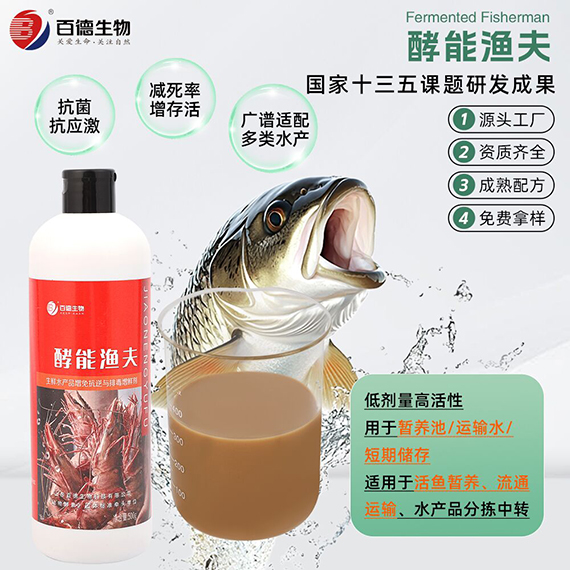 渔夫1.jpg