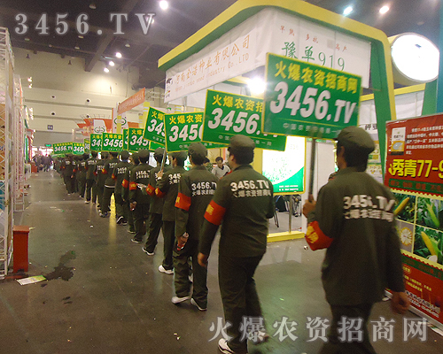 清一色的綠色軍裝的裝扮