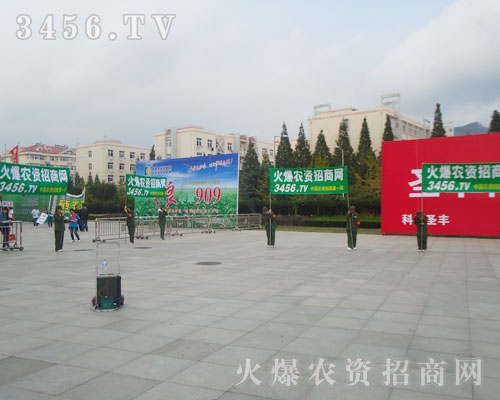 勝利因奮斗而美麗