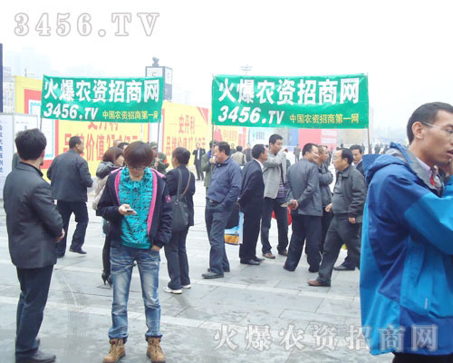 (dng)_(ki)ؔ(ci)֮T(mn)