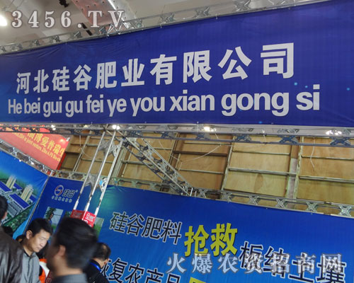 河北硅谷化工有限公司