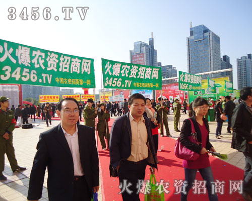 ɽ|ֲ𱬾W(wng)(chung)º_Mе