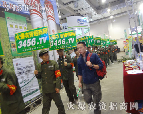 𱬾W(wng)೬Խl(f)չ