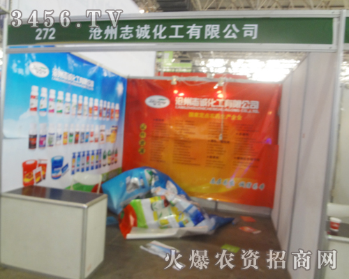 ־\΢Цӭ2013ӱֲ