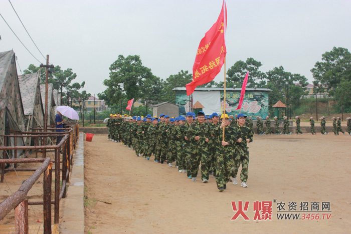 早早起來,晨跑中