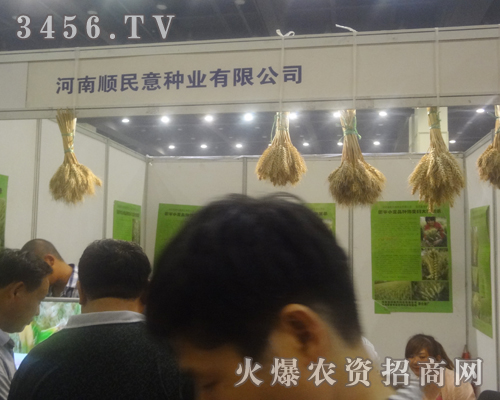 ̷̩NI(y)2013ԭNӽו(hu)