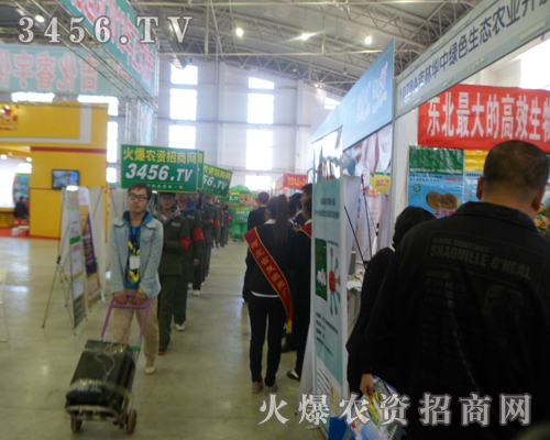 2013Lr(nng)(hu)r(nng)Y˸ÞS̷(w)