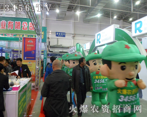 2013|ʡϕϵr(nng)YW(wng)o