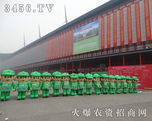 ҂F(tun)Y(ji)һ҂ŗ