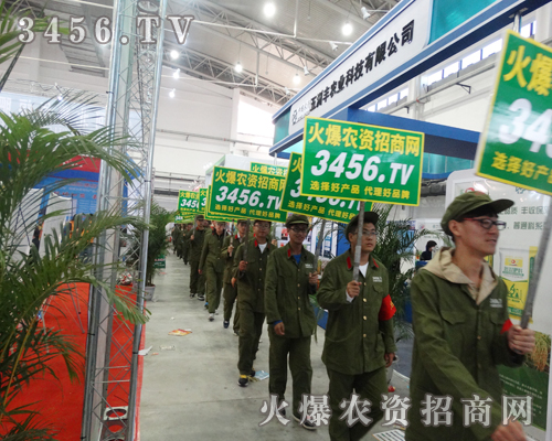 r(nng)YW(wng)ˆT˷һһy