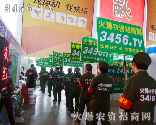 rY̾W(wng)2015ֲȻҊ