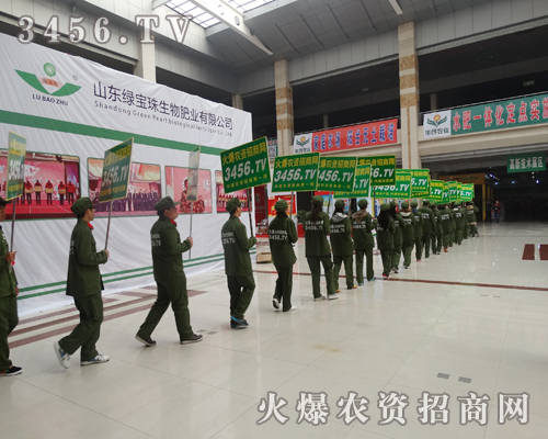 3456.TVf¾ֻ2015ʝrY