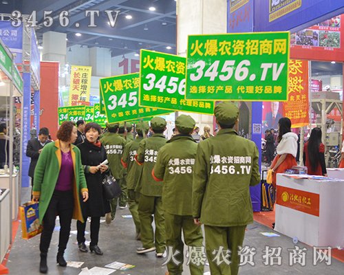 2015ϷϕScr(nng)YW(wng)Ӱ