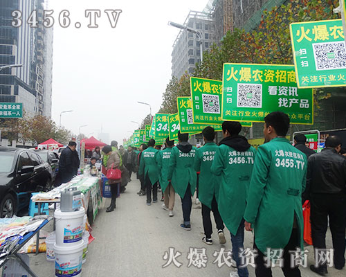 rY̾W(wng)2015ֲϷv