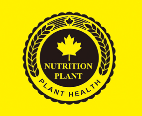 ЅRɽ|r(nng)I(y)F(tun)޹˾