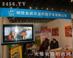 r(nng)I(y)Ƽ_(ki)l(f)޹˾