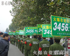 ˕r(sh)˿𱬈F(tun)(du)ٴ(zhn)ڕ(hu)(chng)