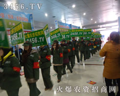 ˏ(qing)(du)ܲÆ