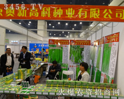 W¸߿ƷNݷNӕ(hu)չF(xin)c(din)