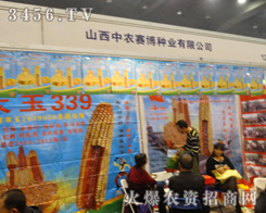 ɽr(nng)ِNI(y)޹˾ݴ