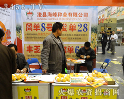 NI(y)＾ի@ļ(ji)ݷNӽו