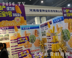 ϾGշNI(y)2013ݷNӕɫ