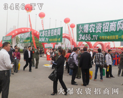 SRһrYW(wng)䮔tٳɺ