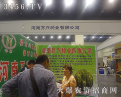 NI(y)cs2013ݷNӽו(hu)