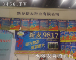 l(xing)´NI(y)޹˾ĵן2013ϷNp(hu)