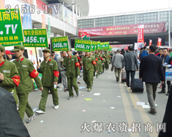 ˬʮّ(zhn)2014ɽ|ֲ(hu)