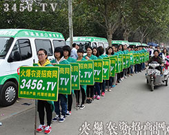 F(tun)Y(ji)һģr(nng)YW(wng)ٝ(j)ֲ(hu)