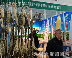 ӱʡfȫhA׷NI(y)ŗ