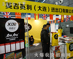 ӢӢBM(jn)޹˾2015ֲ